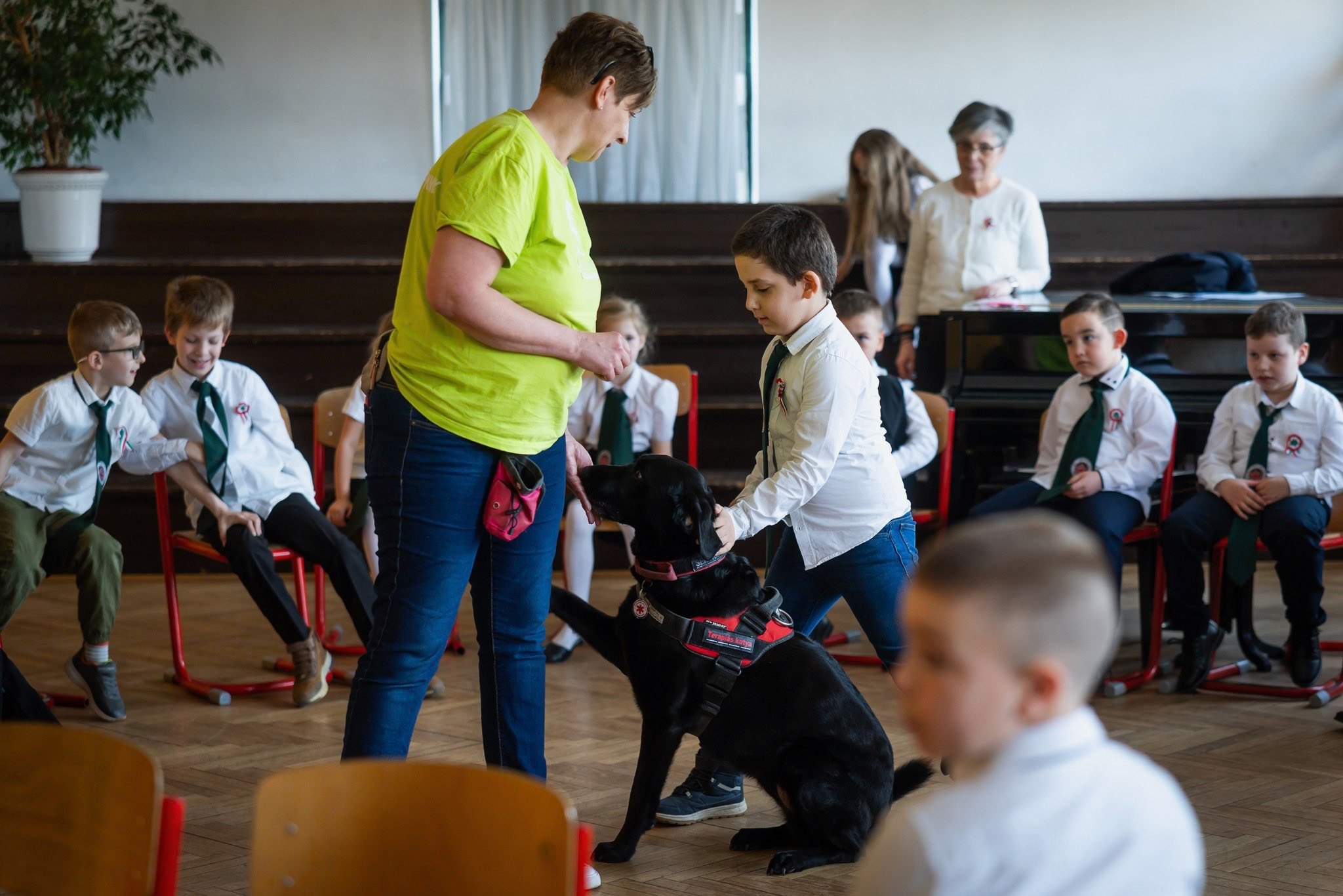 Közös ügyünk az állatvédelem