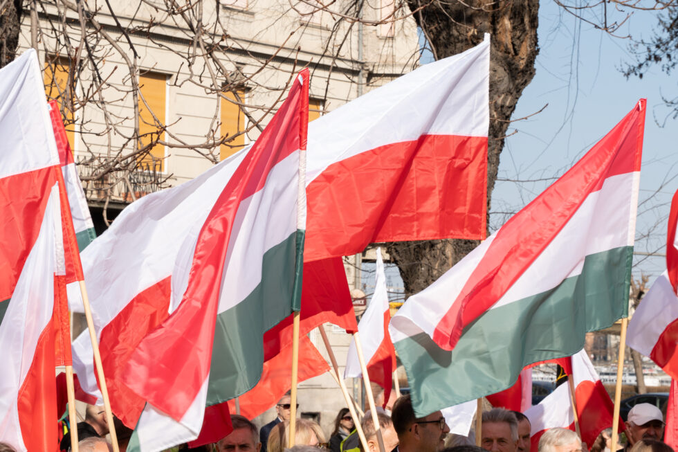 lengyel-magyar-zászlók