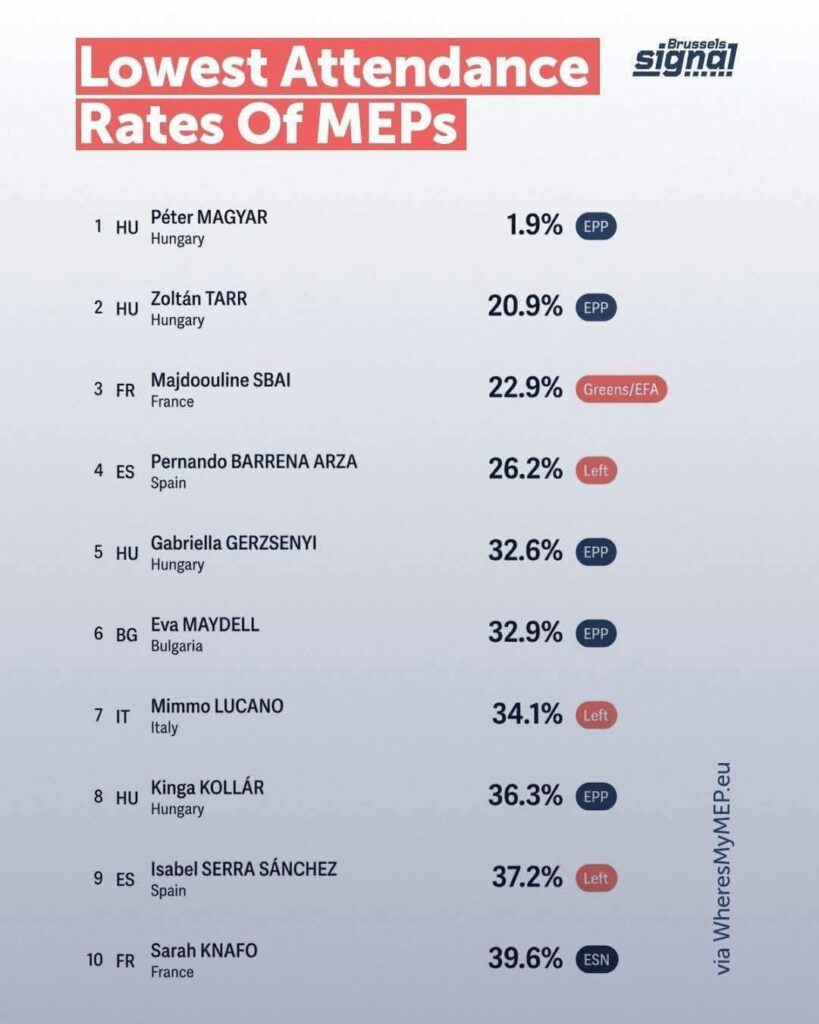 Magyar Péter Európai Parlament