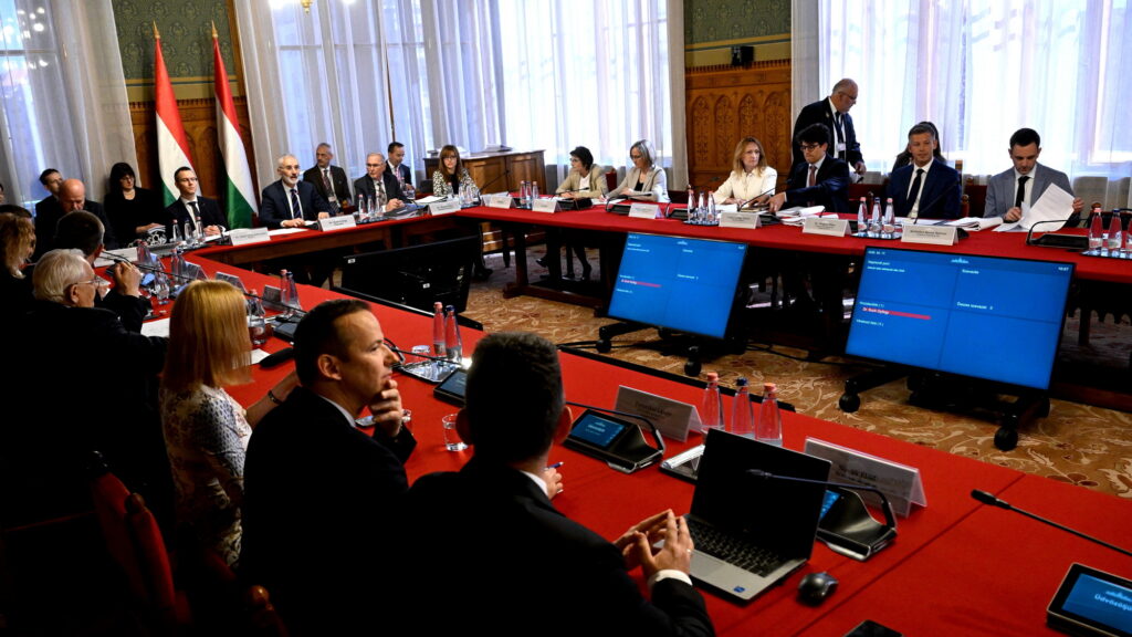 SUCH György; MAGYAR Péter; TOROCZKAI László