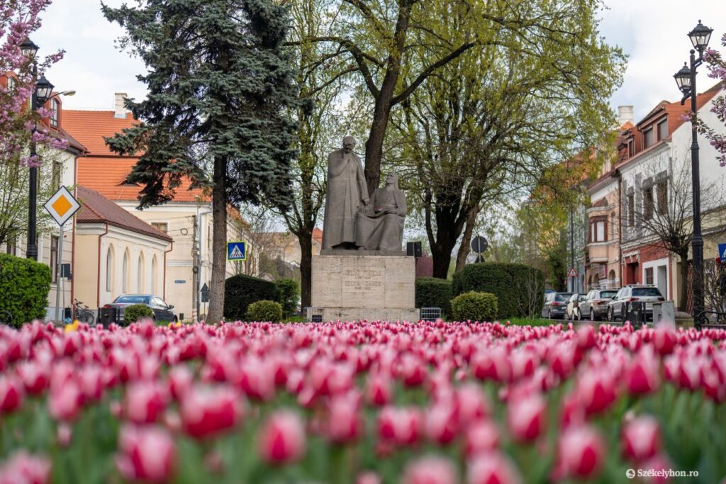 Bolyai-szobor-Marosvásárhely