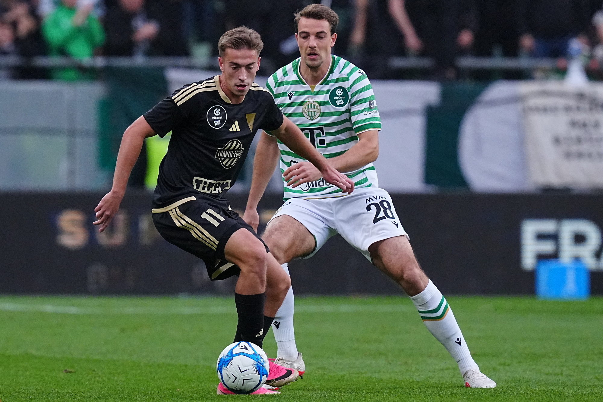 ferencváros - dvsc